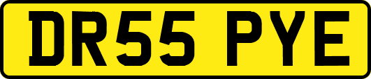 DR55PYE