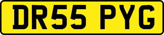 DR55PYG