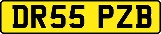 DR55PZB