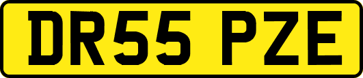 DR55PZE