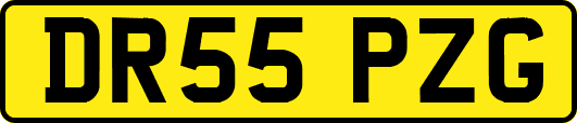 DR55PZG