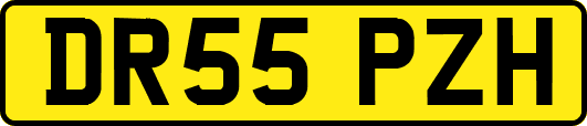 DR55PZH