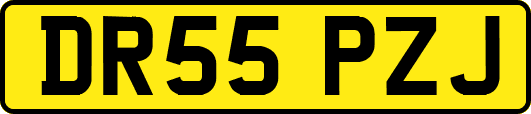 DR55PZJ