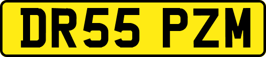 DR55PZM
