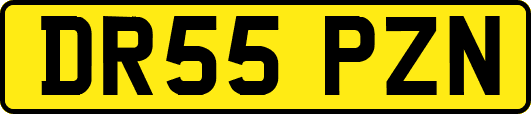 DR55PZN