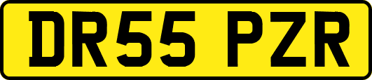 DR55PZR
