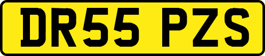 DR55PZS