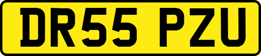 DR55PZU