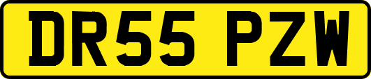 DR55PZW