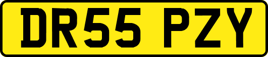 DR55PZY