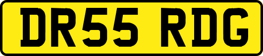 DR55RDG
