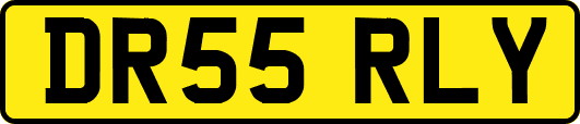 DR55RLY