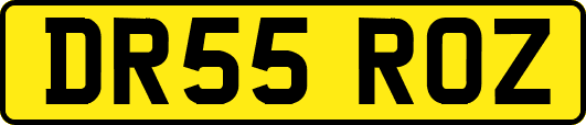 DR55ROZ