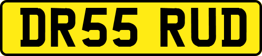DR55RUD