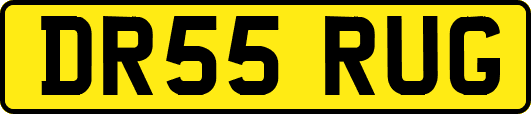 DR55RUG