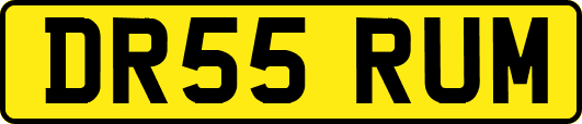 DR55RUM
