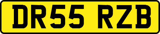 DR55RZB