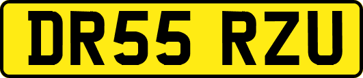 DR55RZU