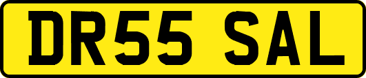 DR55SAL