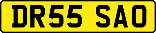 DR55SAO