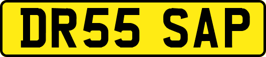 DR55SAP