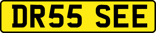 DR55SEE