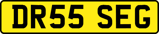 DR55SEG