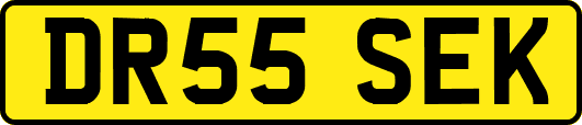 DR55SEK