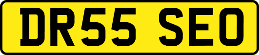 DR55SEO