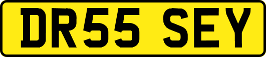 DR55SEY