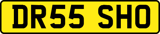 DR55SHO