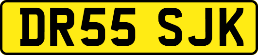 DR55SJK