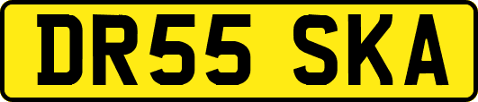 DR55SKA