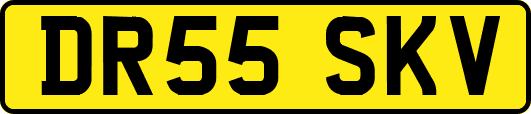 DR55SKV