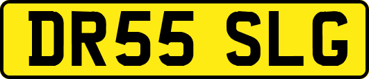 DR55SLG