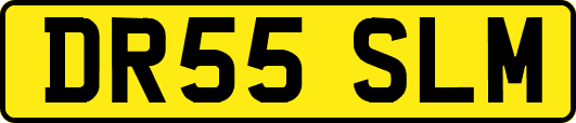 DR55SLM