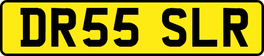 DR55SLR