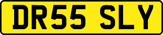 DR55SLY