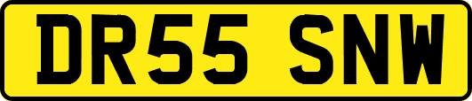 DR55SNW
