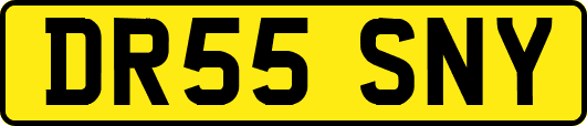 DR55SNY