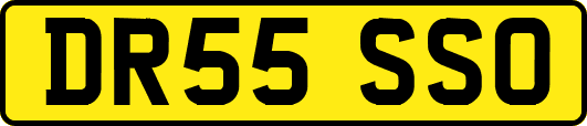 DR55SSO