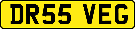 DR55VEG