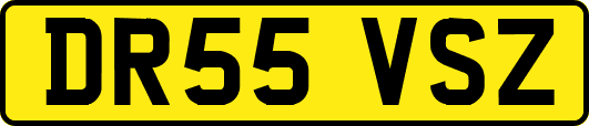 DR55VSZ