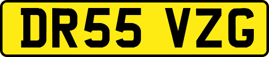 DR55VZG