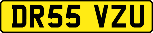 DR55VZU