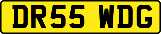 DR55WDG