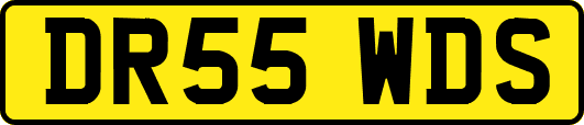 DR55WDS