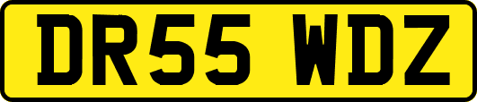 DR55WDZ