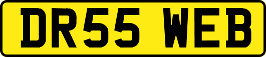 DR55WEB
