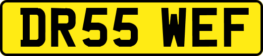 DR55WEF